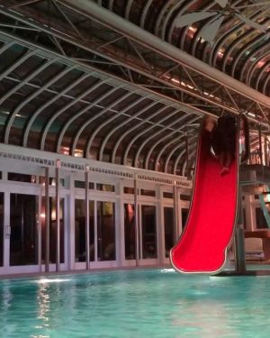 Solange Instagram - @cancersznisforever !!! 🎂
S/o all the black women who lift me up and bring me joy every day ! 

🛐All I want for my birthday is to give gratitude that God chose me to be black and woman, and to bump Yes Sirrr like 4, 5 times in a hot tub w my frennnns…🥂

I love yallllllll