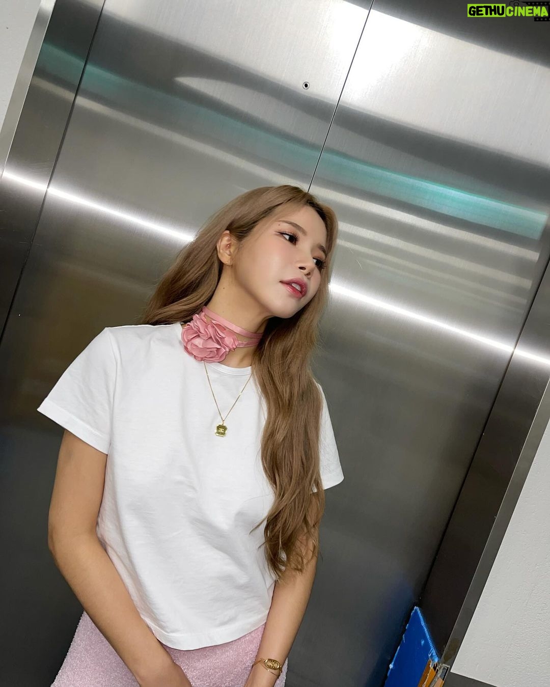 Solar Instagram - 아니, 이게 복대였다고?ㅋㅋㅋ 오늘 첫 팬콘서트 in JAPAN 💕