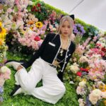 Solar Instagram - 🌹🌷🌹