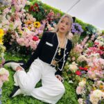 Solar Instagram - 🌹🌷🌹