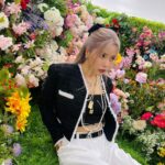 Solar Instagram - 🌹🌷🌹