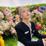 Solar Instagram - 🌹🌷🌹