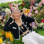 Solar Instagram - 🌹🌷🌹