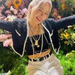 Solar Instagram - 🌹🌷🌹