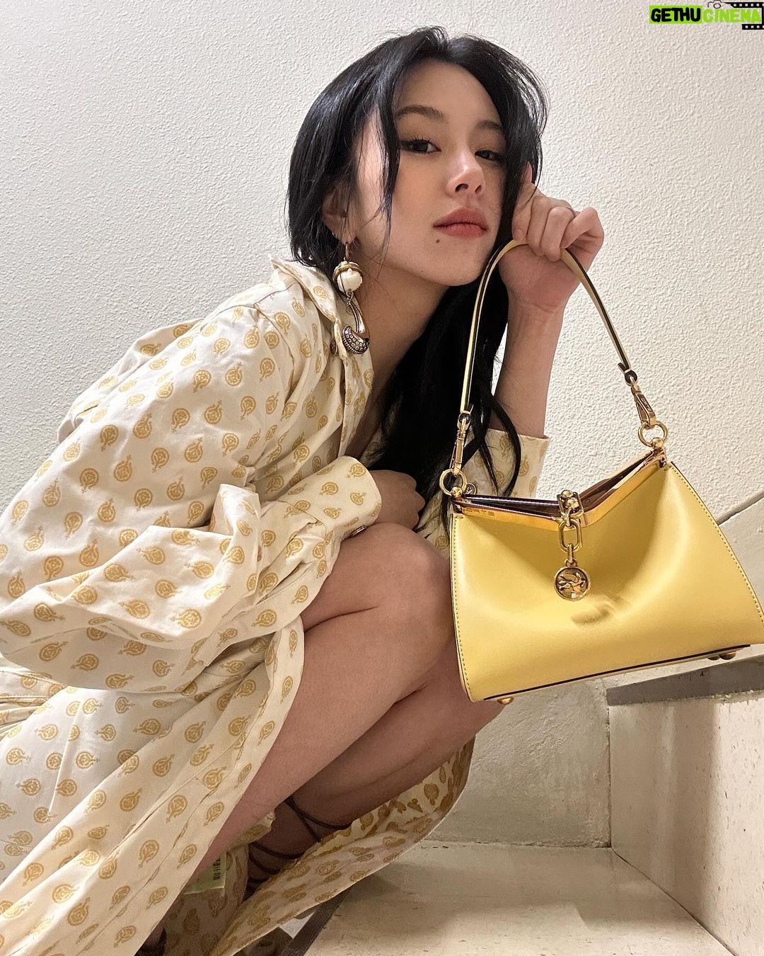 Son Chae-young Instagram - ETRO FALL WINTER 2024/2025 COLLECTION FEBRUARY 21ST 8:00PM – ITALIAN TIME Come join me to watch the show on etro.com 💗 #EtroFW24 #PR #JAPAN @etro