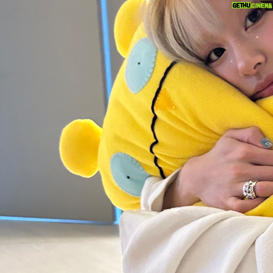 Son Chae-young Instagram - 생일축하해줘서 모두 고마워요🤍*・゜゚・*:.。..。.:*・'*:.。. .。.:*・゜゚・*행복한 하루였답니다🍓