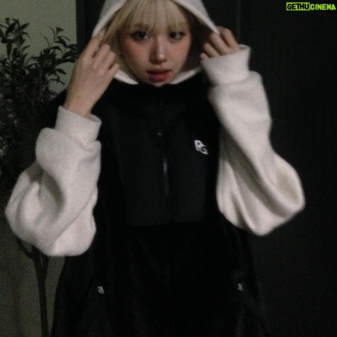 Son Chae-young Instagram - #광고 @pearlygates_korea