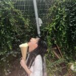 Son Chae-young Instagram -