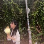 Son Chae-young Instagram -