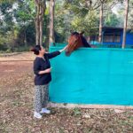 Sonalika Joshi Instagram - Unconditional love💕🤗. #animallovers #animal #horse #horses #horsesofinstagram #post #newpost .