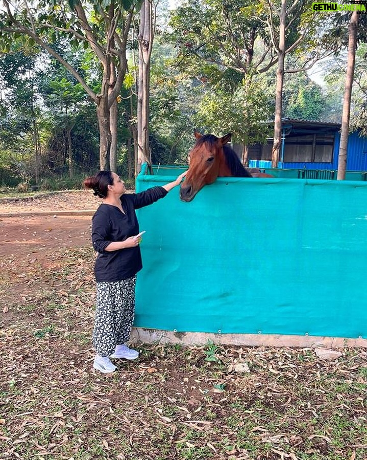 Sonalika Joshi Instagram - Unconditional love💕🤗. #animallovers #animal #horse #horses #horsesofinstagram #post #newpost .