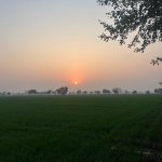 Sonam Bajwa Instagram - Life lately ….. Last slide is my fav ❤️