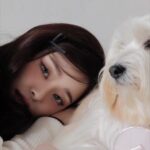 Song Jia Instagram - #광고 바닐라코의 새로운 에디션 🌸 @banilaco_official 봄이 기다려지는 블라썸 에디션이 출시되었어요! 핑크핑크한 케이스들이 완전 푸리쟈꺼 .. 🎀 화이트 트러플에센스의 성분으로 피부를 편안하게 해주는 쿠션이에요 쿠션 성분 엄청엄청 중요한거 알죠?! 😭😭 💌 쿠션 본품1개, 리필1개, 핑크 퍼프2개 구성으로 내일부터 올리브영 오특으로 만나볼 수 있어요! 이번에 놓치지말기!!! 제가 사용한 루스 파우더는 극강의 매트한 표현이 아니라서 예쁜 피부광도 살리고 좀 더 고급스러운 피부표현 가능함🩷✨ 광고로 만났지만 너무 잘쓰고있는 제품이니 꼭 한번 써보아요😖 바닐라코 파우더는 말해모해 최고지 🩷 #화이트쿠션 #핑크쿠션 #루스파우더