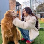 Song Jia Instagram - 배찌 베베 훈련해주신 소장님 만나구 힐링의 시간🐶🤎 #키움플레이 #이웅용소장님 최고😎