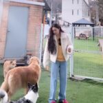 Song Jia Instagram - 배찌 베베 훈련해주신 소장님 만나구 힐링의 시간🐶🤎 #키움플레이 #이웅용소장님 최고😎