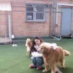 Song Jia Instagram - 배찌 베베 훈련해주신 소장님 만나구 힐링의 시간🐶🤎 #키움플레이 #이웅용소장님 최고😎