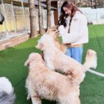 Song Jia Instagram - 배찌 베베 훈련해주신 소장님 만나구 힐링의 시간🐶🤎 #키움플레이 #이웅용소장님 최고😎