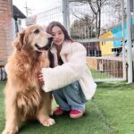 Song Jia Instagram - 배찌 베베 훈련해주신 소장님 만나구 힐링의 시간🐶🤎 #키움플레이 #이웅용소장님 최고😎