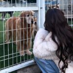 Song Jia Instagram - 배찌 베베 훈련해주신 소장님 만나구 힐링의 시간🐶🤎 #키움플레이 #이웅용소장님 최고😎