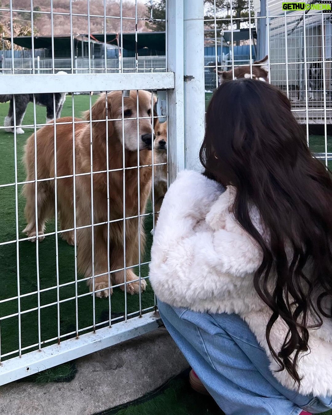 Song Jia Instagram - 배찌 베베 훈련해주신 소장님 만나구 힐링의 시간🐶🤎 #키움플레이 #이웅용소장님 최고😎
