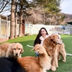 Song Jia Instagram - 배찌 베베 훈련해주신 소장님 만나구 힐링의 시간🐶🤎 #키움플레이 #이웅용소장님 최고😎