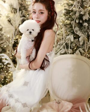 Song Jia Instagram - 첫 가족사진 🐩🐾📸 
예쁜 추억 남겨주신 @choimoon_artisan @andrewkwon_studio 
감사합니다🫶🏻🎄🤍🪽 
곧 유튜브로 영상도 공유할게요 
프링이들 행복한 연말 보내용❄️⛸️
