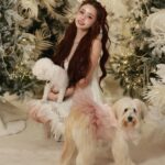 Song Jia Instagram - 첫 가족사진 🐩🐾📸 예쁜 추억 남겨주신 @choimoon_artisan @andrewkwon_studio 감사합니다🫶🏻🎄🤍🪽 곧 유튜브로 영상도 공유할게요 프링이들 행복한 연말 보내용❄️⛸️
