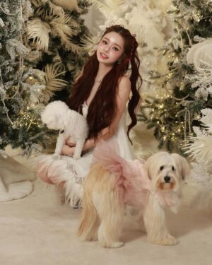 Song Jia Instagram - 첫 가족사진 🐩🐾📸 
예쁜 추억 남겨주신 @choimoon_artisan @andrewkwon_studio 
감사합니다🫶🏻🎄🤍🪽 
곧 유튜브로 영상도 공유할게요 
프링이들 행복한 연말 보내용❄️⛸️