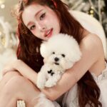 Song Jia Instagram – 첫 가족사진 🐩🐾📸 
예쁜 추억 남겨주신 @choimoon_artisan @andrewkwon_studio 
감사합니다🫶🏻🎄🤍🪽 
곧 유튜브로 영상도 공유할게요 
프링이들 행복한 연말 보내용❄️⛸️