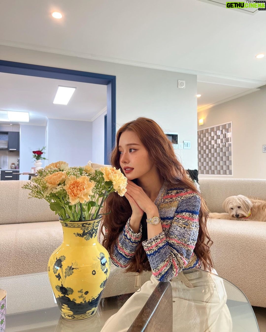 Song Jia Instagram - 룸투어 영상 아직 못봤다면 언능 달려와🩷🏠💕