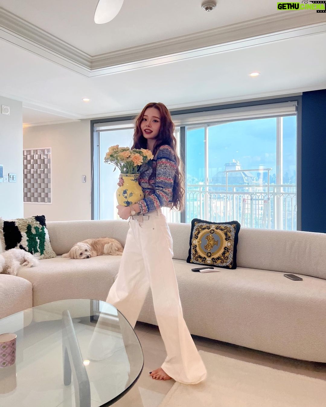 Song Jia Instagram - 룸투어 영상 아직 못봤다면 언능 달려와🩷🏠💕