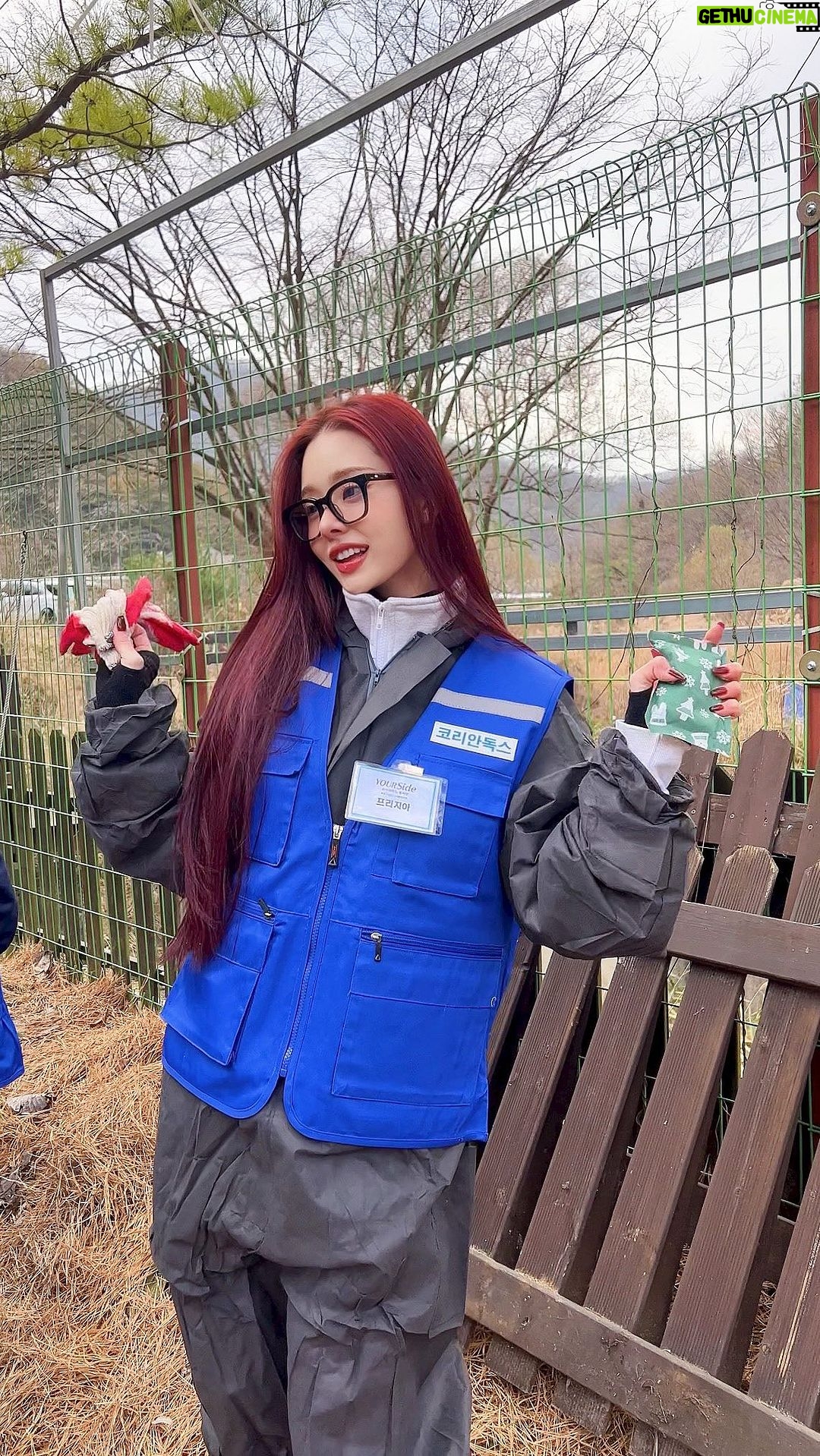 Song Jia Instagram - 뿌듯한 하루🌈 마음만큼은 다 우리집에 데려오고싶어😭 #사지말고입양하세요 #유기견봉사 #유기견입양 #유어사이드봉사단 #레인보우쉼터