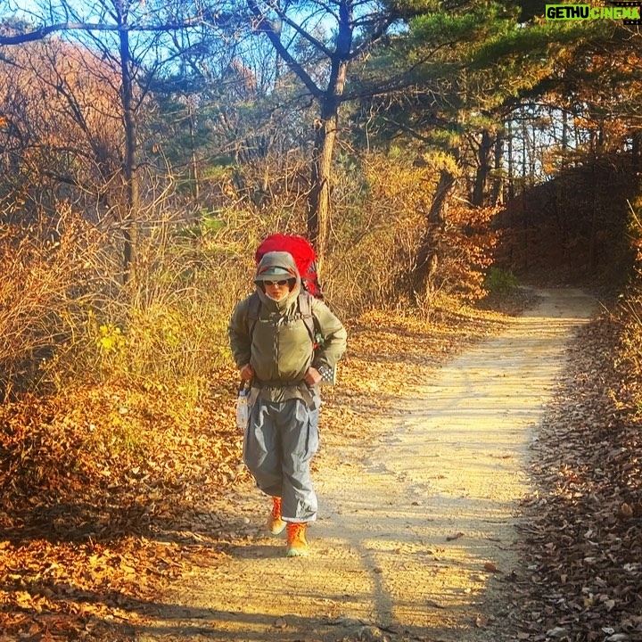 Song Min-ho - 315.2K Likes - 백패킹라이프
