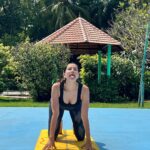 Sonnalli Seygall Instagram - Choose the correct order & vote! (Last photo just for kicks. Ignore) A. Eagle pose, Lion pose, Cat pose, Lizard pose B. Lion pose, Lizard pose, Cat pose, Eagle pose C. Lizard pose, Cat pose, Eagle pose, Lion pose
