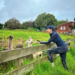 Sonnalli Seygall Instagram - Meet my new best friends 💁‍♀️ Alpacas! Alpaca charecteristics- “Shy, but very curious, quiet, and intelligent”. Somehow I identify with all of the above 💁‍♀️ #newzealandfinds #alpacafarm #cuteanimals New Zealand