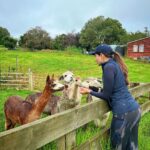 Sonnalli Seygall Instagram - Meet my new best friends 💁‍♀️ Alpacas! Alpaca charecteristics- “Shy, but very curious, quiet, and intelligent”. Somehow I identify with all of the above 💁‍♀️ #newzealandfinds #alpacafarm #cuteanimals New Zealand