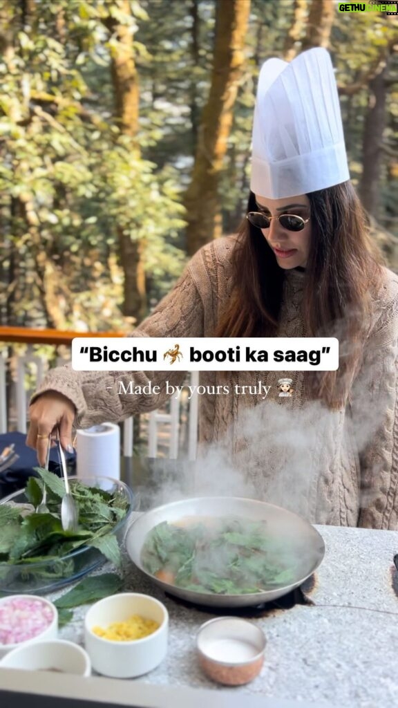 Sonnalli Seygall Instagram - Came across Bichu Butti or stinging nettle, on my last trip to #Dharamshala and I was so fascinated by it even though it stung me very badly the first time I touched! I tried my hand at cooking it… And boy it was delicious! It is an extremely nutritious plant and has many beneficial antioxidants that help in protecting the immunity of your body and make it stronger. It also has a high content of vitamins A, C and K. Some of the benefits of these beautiful leaves are- * Blood Pressure Regulation * Anti Inflammatory * Controls Blood Sugar Levels * Diuretic * High Amount Of Iron * Prevents Anaemia * May Fight Enlarged Prostate Gland Would you try this Stinging saag?!