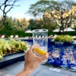 Sonnalli Seygall Instagram - Sunday well done ✅ 🌞 ❤️ Hello 🦌 Husband & sanity keeper @asheshlsajnani Friend & cameraman @kunala Location & fav Sunday hang @grandhyattmumbai #sundaymood☀️ #waterbaby
