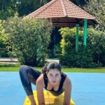 Sonnalli Seygall Instagram - Choose the correct order & vote! (Last photo just for kicks. Ignore) A. Eagle pose, Lion pose, Cat pose, Lizard pose B. Lion pose, Lizard pose, Cat pose, Eagle pose C. Lizard pose, Cat pose, Eagle pose, Lion pose