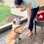 Sonnalli Seygall Instagram - The doggo edit 🐶❤️ #dogsofinstagram #doggolife