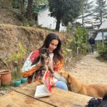 Sonnalli Seygall Instagram - The doggo edit 🐶❤️ #dogsofinstagram #doggolife