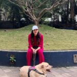 Sonnalli Seygall Instagram - The doggo edit 🐶❤️ #dogsofinstagram #doggolife