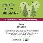 Sophia Lillis Instagram - Yesterday was the first birthday I couldn’t spend with Jake since we were born. So I sent him a tree instead! Consider gifting a tree to your “other half” — Happy Valentines Day! #planttreesgrowlove