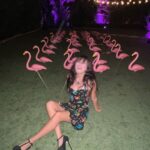 Sophie Fergi Instagram - HAPPY BIRTHDAY BETSEY 🦩🕷🧁 Betsey Johnson