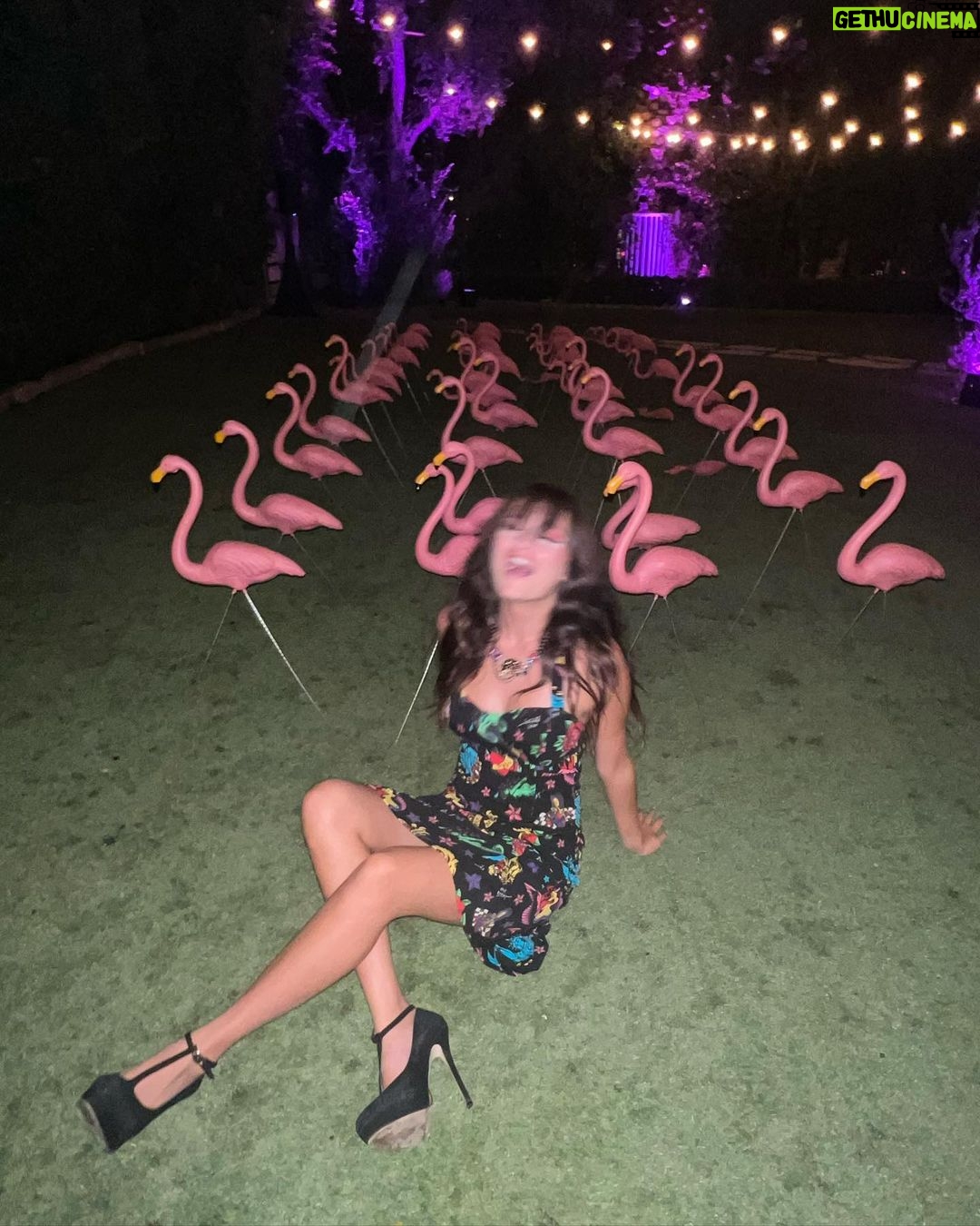 Sophie Fergi Instagram - HAPPY BIRTHDAY BETSEY 🦩🕷🧁 Betsey Johnson