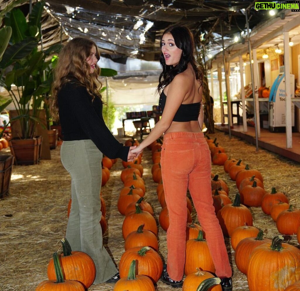 Sophie Fergi Instagram - ITS SPOOKY SEASON 🥹🎃 Pumpkin patch
