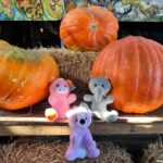 Sophie Fergi Instagram - ITS SPOOKY SEASON 🥹🎃 Pumpkin patch
