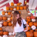 Sophie Fergi Instagram - 🍁🍂🎃 Passadena
