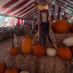 Sophie Fergi Instagram - 🍁🍂🎃 Passadena