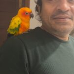 Soubin Shahir Instagram – This lady 💛

#favorite #birdsofinstagram #reelsinstagram #reelsindia #reelskerala #keralagallary #explorepage #yellow #keralareels #reelitfeelit Kochi, India